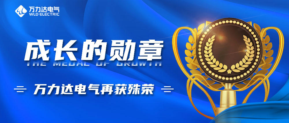 成长的勋章！口袋德州官网电气再获殊荣